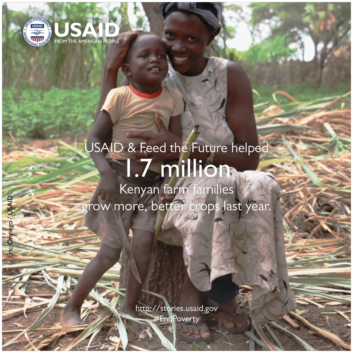 Global Guide: Over 50 Grants and Fellowships for Sustainable Projects